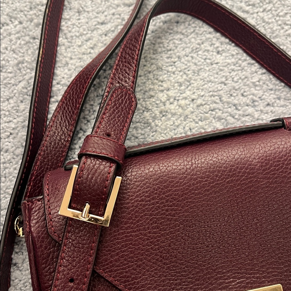 DeMellier Deep Burgundy Crossbody Bag - Picture 6 of 7